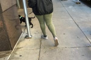 Dog coming back from a walk outside ASPCA Adoption center