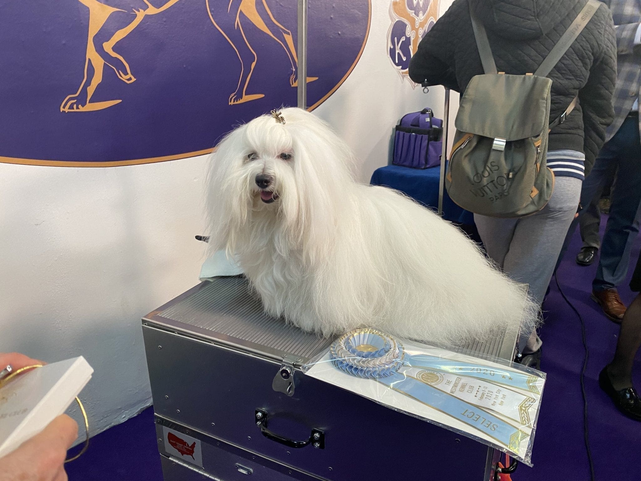 canine_review_una_coton canine_review_una_coton