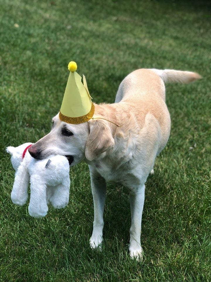 Nellie birthday 2020