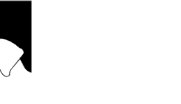 TCR-Logo-invert-01