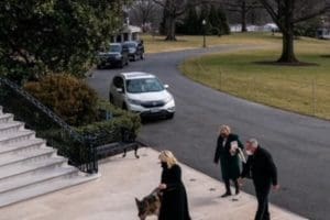 Champ and Major arriving at the White House