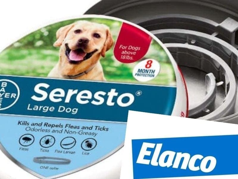seresto elanco bayer