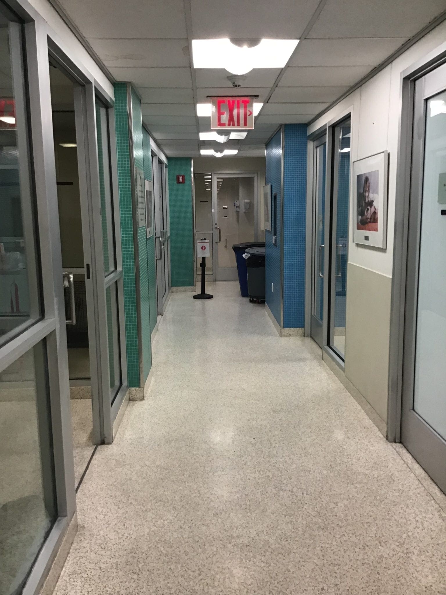 ASPCA hallway ASPCA hallway