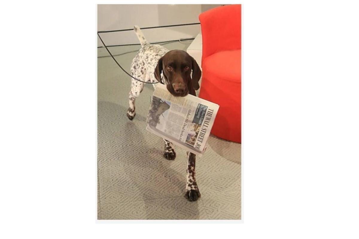 CJ, WSJ CJ, WSJ