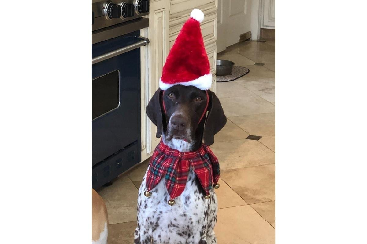 christmas cj christmas cj