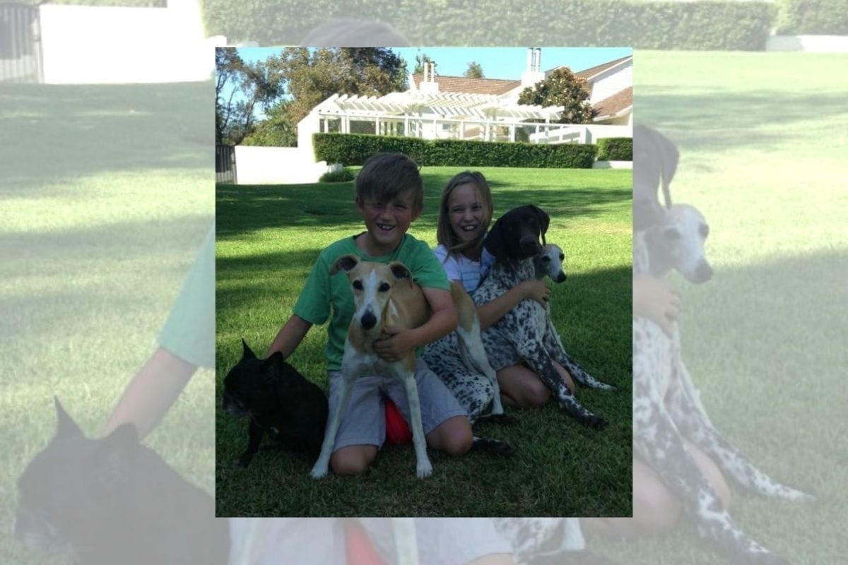 Beloved best in show and ‘born winner’ CJ dies at 7 Beloved best in show and ‘born winner’ CJ dies at 7