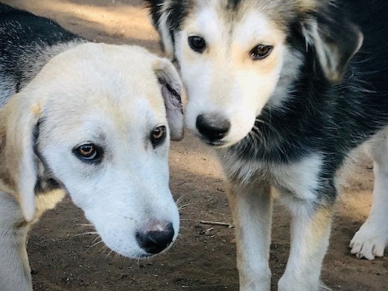 Luna, Stormy