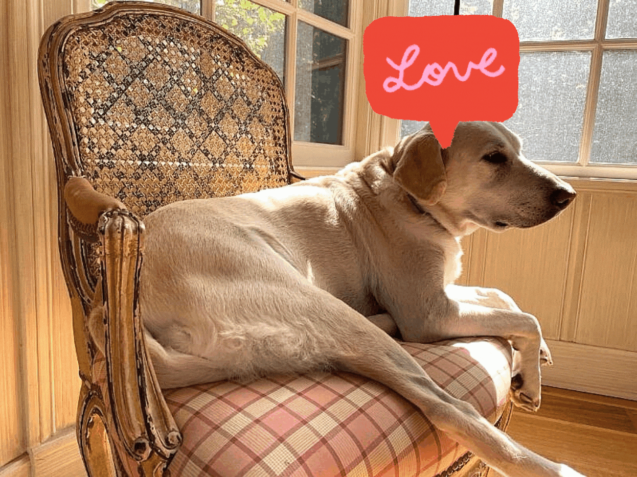 Nellie heart