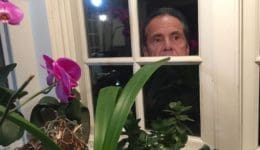 Peeping Cuomo