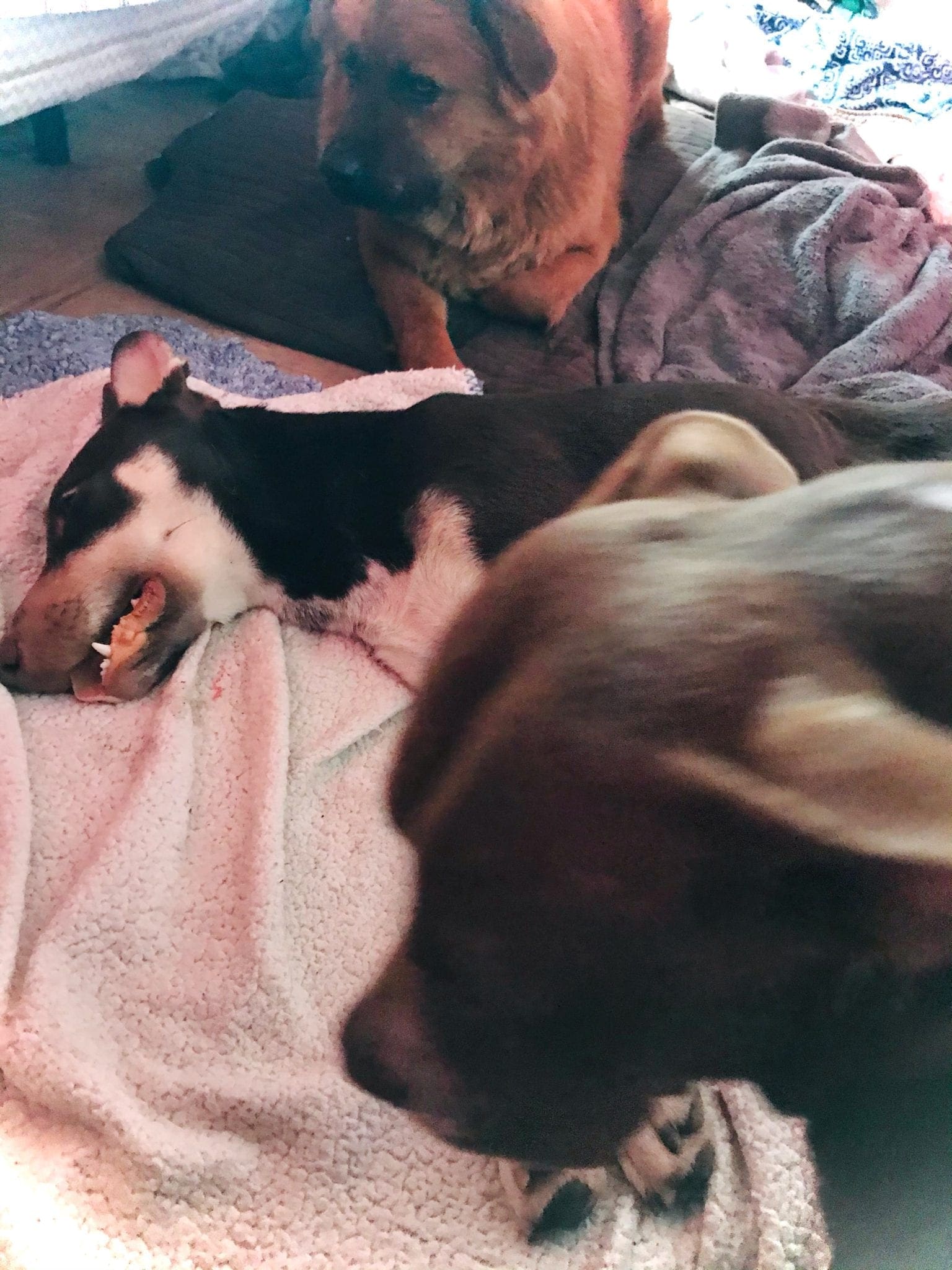 stormy pic