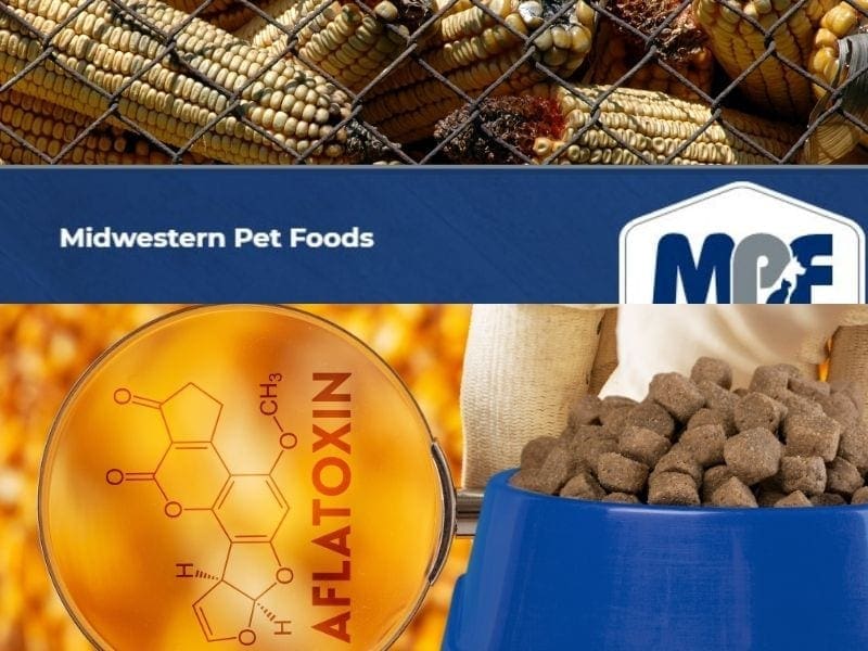 aflatoxin kibble