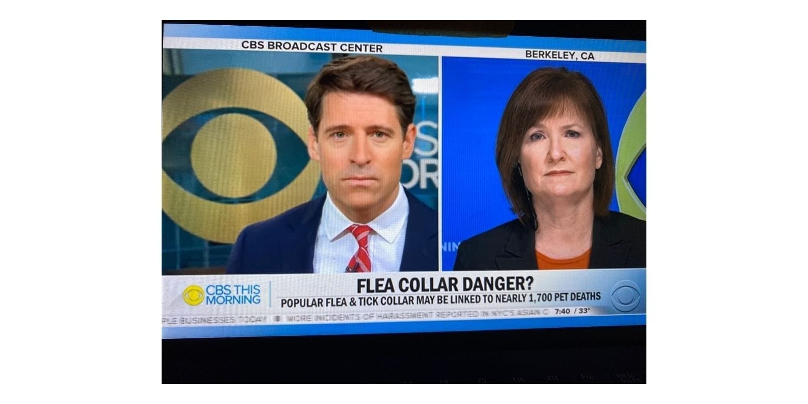 collargate1 collargate1