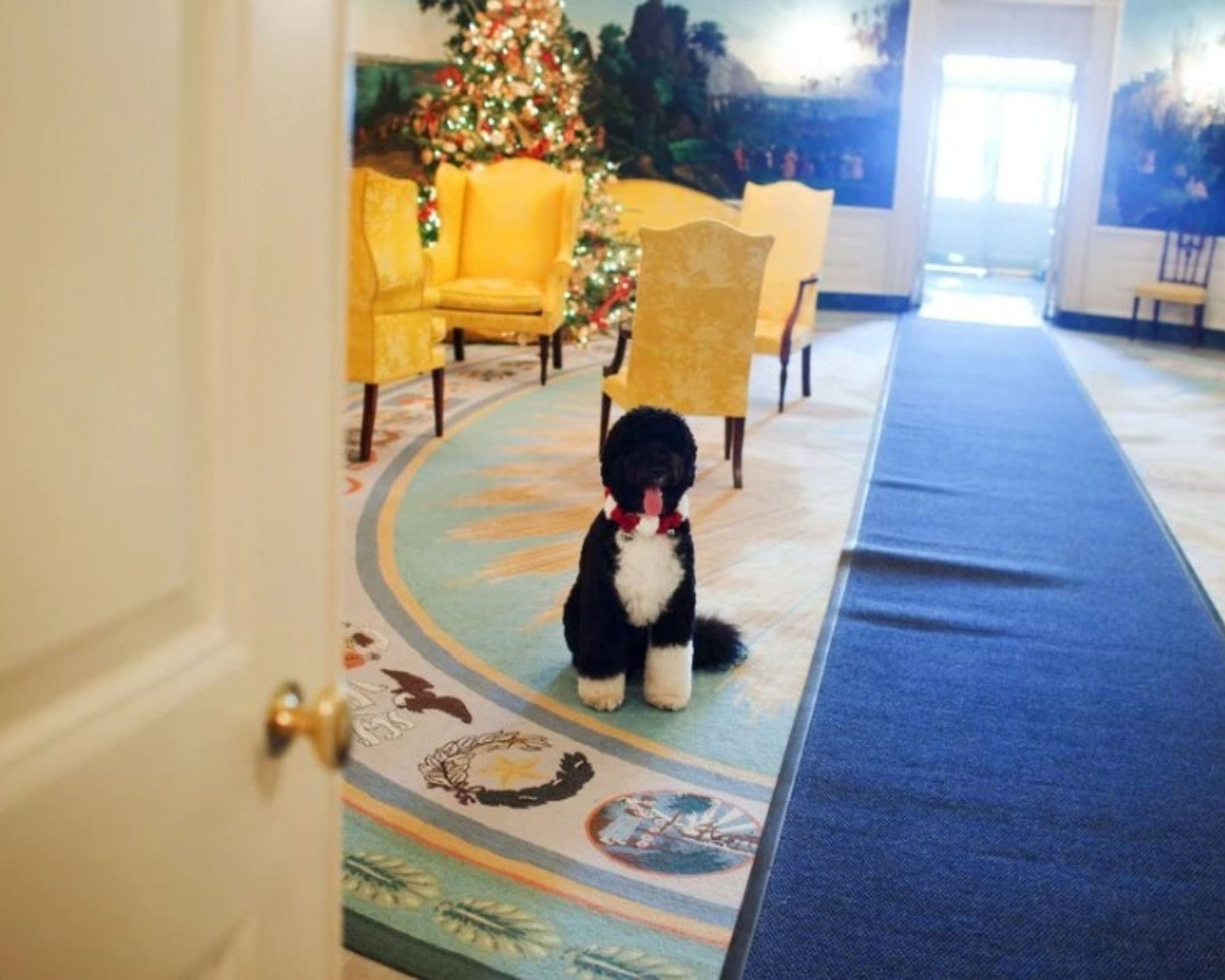 Dec 2009 Bo Diplomatic Reception Room Dec 2009 Bo Diplomatic Reception Room