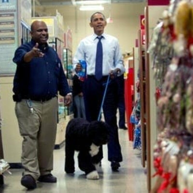 dec 2011 petsmart dec 2011 petsmart