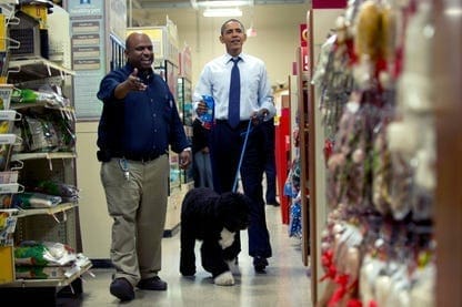 dec 2011 petsmart
