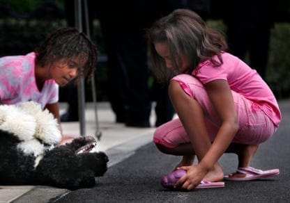 sasha malia bo
