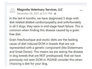 magnolia vet