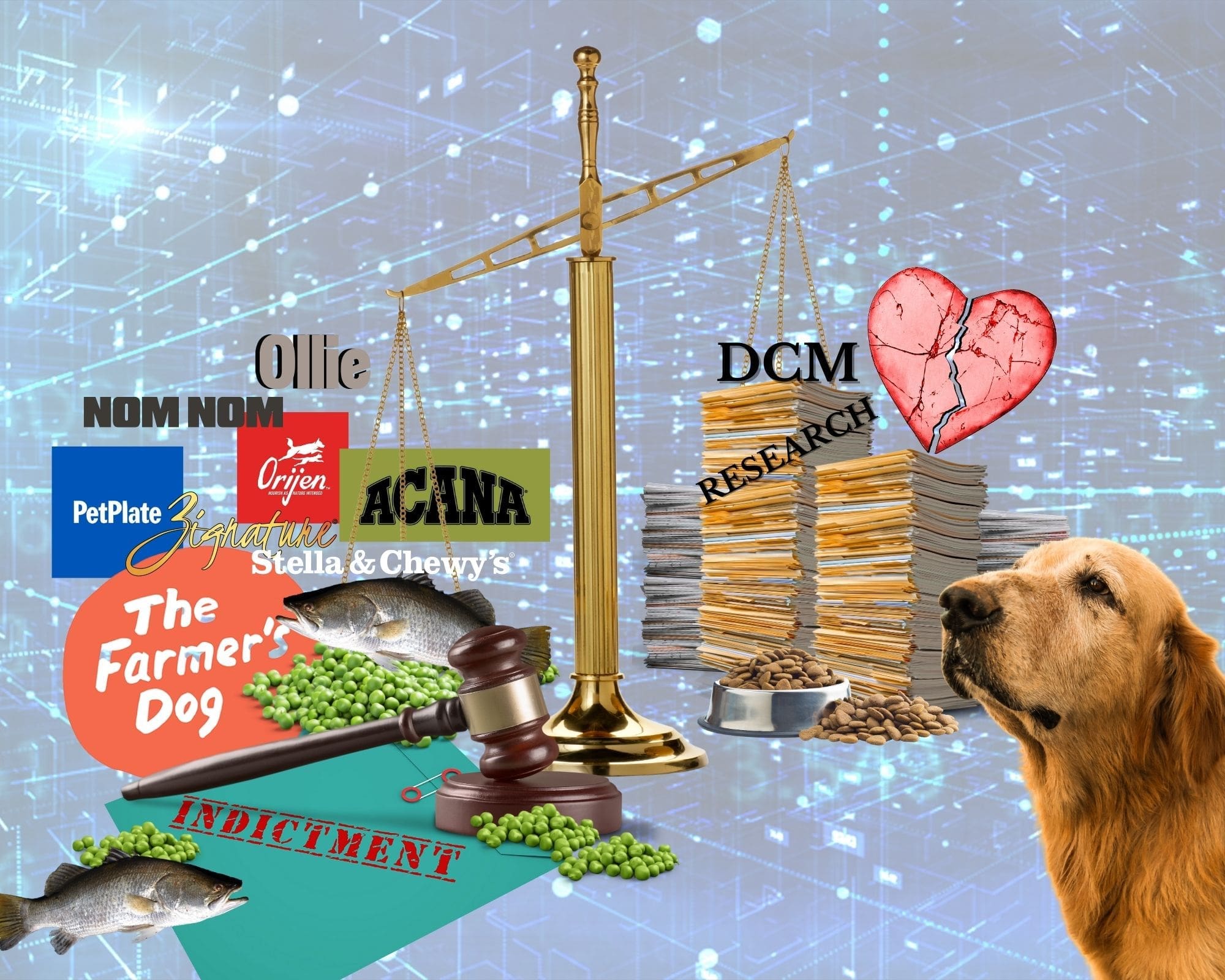 dcm-research-study-article-canine-review